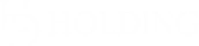 Logo HD HOLDING Blanc