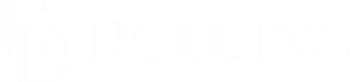 HD HOLDING